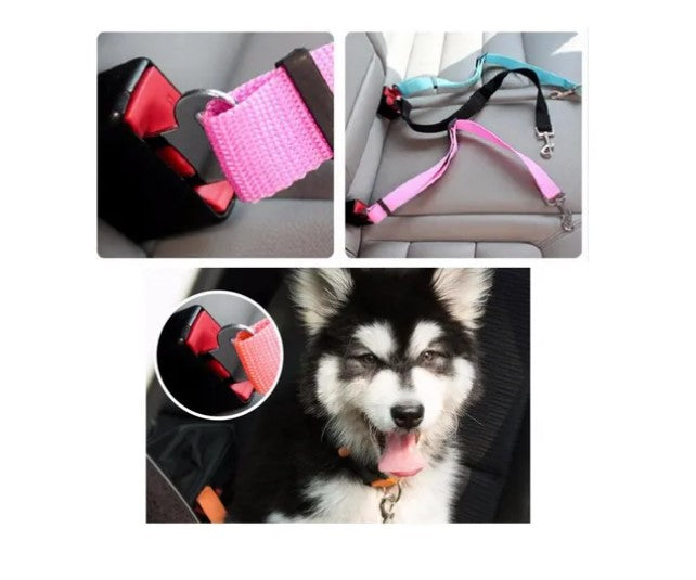 Cinturon De Seguridad Para Mascotas En El Automovil