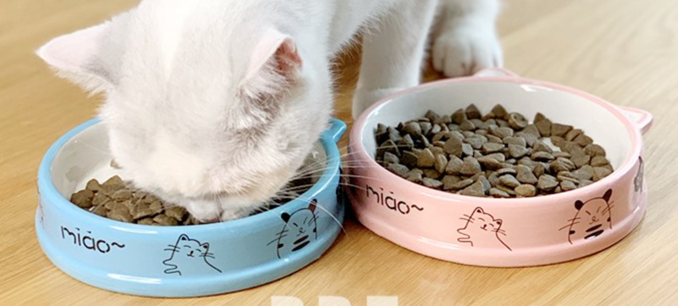 Comedero Plato En Cerámica Para Gato
