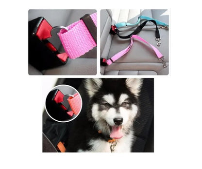 Cinturon De Seguridad Para Mascotas En El Automovil