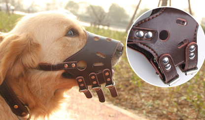 Bozal De Cuero Para Perros Sin Ladridos